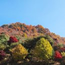 내동산 도는길 이미지
