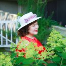 7월10일 가혜리카페&amp;도레도레카페 헬로연수지기님 리딩~2 이미지
