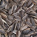 헬스위드짐 이미지