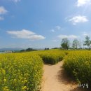 전세사기, 결국 법으로 해결…"혈세 투입 막겠다" 이미지