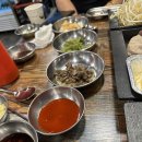 수달조갱