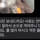 백슬동물병원 이미지