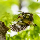 부리농장 이미지