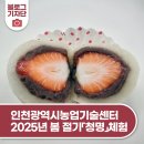 청명기술 이미지