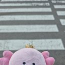 무나플 안끝낫념?? 나 좌파루파 무나받은 후기 보고가줘 젭알 이미지