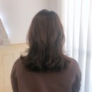 사파동184 이미지