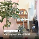 자양제4동도서관 네이버블로그