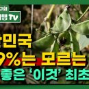 대한민국 99.9%는 모르는 장에 좋은 '이것' 최초발견 이미지