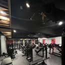 뉴바디짐 이미지