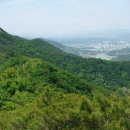 일신교통 이미지