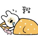 울트라핑크
