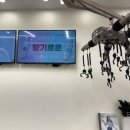 로이드밤 디오션점