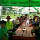 다솜아라민박 이미지