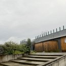 (주)양평현대모터스 | 양평 반려동물 동반 대형카페 콘크리트정글 주말 나들이로 추천