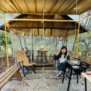 자연미림 이미지