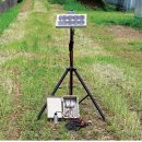 태양이용 이미지