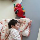 PC복댕이 이미지