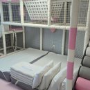 아이리니A펜션 이미지