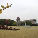 [서울] 옛 한성백제의 흔적이 깃든 도심 속의 상큼한 공간, 올림픽공원~몽촌토성 나들이 (나홀로나무, 성내천) 이미지