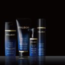 비바시티 VIVACITY 이미지