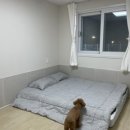 용전4로3길 이미지