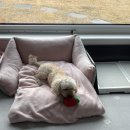 동우보링 이미지