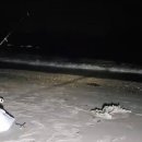 신안 우전 설레미 캠핑장 이미지