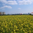 호수정원 이미지