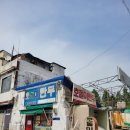 호돌이만두 | [대전역 노포 맛집] 신안동 호돌이 만두 60년 전통의 신문지 포장 만두 후기