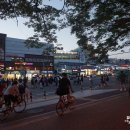 영남대 대학로 이미지