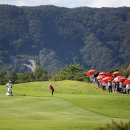 갤러리골프 이미지