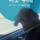 펫드라이브 이미지