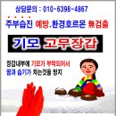 꽃님이 이미지