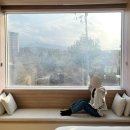 구공스테이도고 | 아산 독채 감성숙소, 구공스테이 도고 숙박 후기 🏠