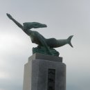 광시하나로마트 이미지