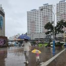 울산 장생포 모노레일 후기 비오는날 더 좋았던 가족 나들이 추천