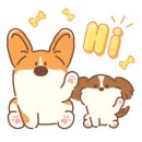 화양양고기꼬치 전문점 이미지