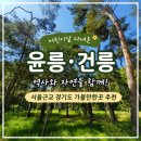 융릉ㆍ건릉 | 복잡한 도심 벗어나 걷기 좋았던 경기도 근교 여행 윤건릉 후기, 주차 입장료 운영시간 정보 정리