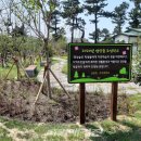 조천중학교 이미지