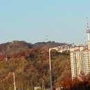 서울숲에서 남산 종주 [서울숲#1] 이미지