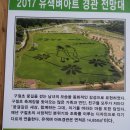 전북 고창 구절초 축제 이미지