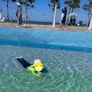 망상리조트 자동차캠핑장 | #60. 망상오토캠핑리조트 자동차캠핑장 물놀이터 있는 바닷가 캠핑장