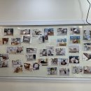 냥떼목장 이미지