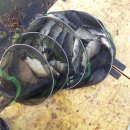 비봉 낚시터 이미지