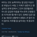 검은고양이네로