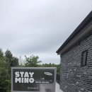 스테이미노