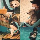 알콩달콩 이미지