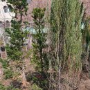 거창군 산림조합 이미지