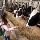 진주목장 이미지