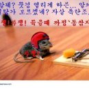 희망살겠네